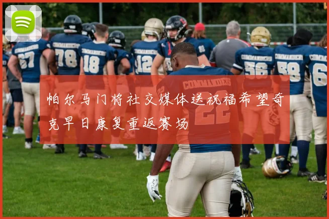 帕尔马门将社交媒体送祝福希望奇克早日康复重返赛场