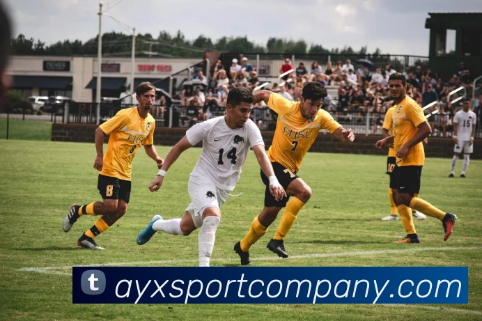 多媒体互动体验