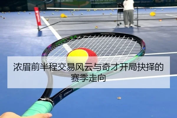 浓眉前半程交易风云与奇才开局抉择的赛季走向 - ayx